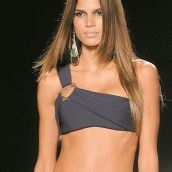 Topmodel