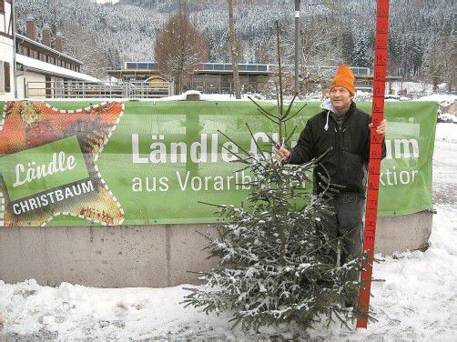 Auf dem Sunnahof der Lebenshilfe in Göfis hilft Rainer mit beim Verkauf der Ländle-Christbäume. Foto: VN/Bösch
