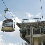 Umgestürzter Baum legte Gondelbahn lahm