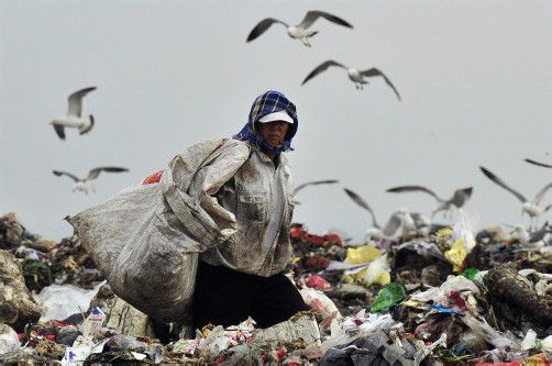 Die Umverteilung ist eine Mär: Wie viele Lebensmittel landen auf dem Müll, wo allenfalls Bedürftige sie aufsammeln? Foto: reuters