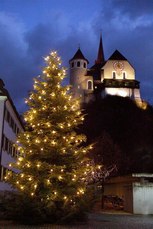 Die ersten Vorarlberger Christbäume standen im Oberland. Foto: VN/Zellhofer