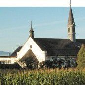 Gwiggen wird biologisch