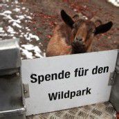 Wildpark rüstet sich fürs Jubiläum