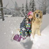 Der richtige Umgang mit Hunden im Winter