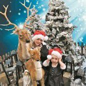 VN-Foto-Wettbewerb: Weihnachten im Fokus