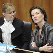 Neues Obsorgerecht ist fix