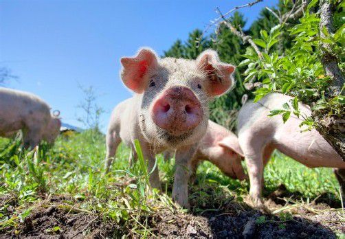 wetter feature landwirtschaft