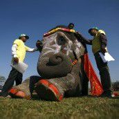Wettbewerb für Elefantenin Nepal