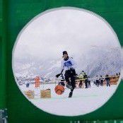 Ein grün-weißes Winterfest