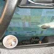 Mehrere verbotene Waffen beschlagnahmt
