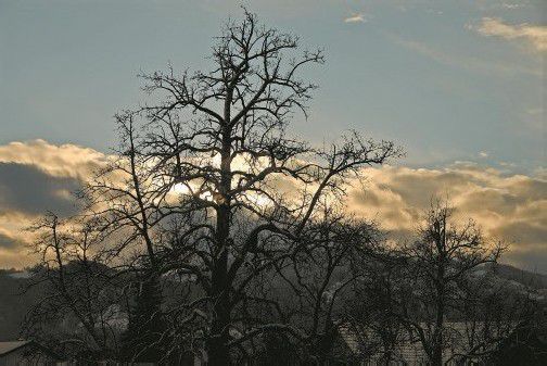 In Windes Eile also verweilen, ich kann das neue Jahr schon riechen! Foto: Anna Helbok