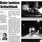 Rinder-Tuberkulose: Die Angst ist zurück