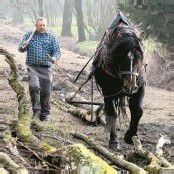 Holzrücken mit einem PS