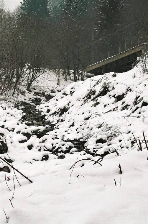 Das Masonbachtobel in Innerbraz wird sicherer gemacht. foto: dob