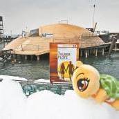 Der Bodensee bekommt nun auch sein Nessie