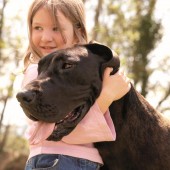 Der richtige Umgang mit Hunden