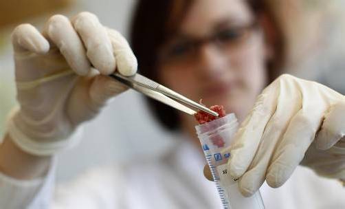 Derzeit werden in vielen europäischen Ländern genaue Fleischkontrollen durchgeführt. Foto: REUTERS