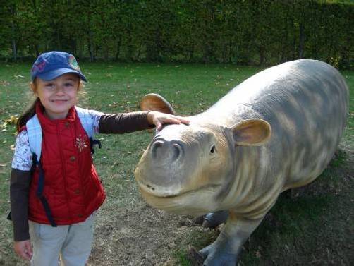 Die Ausstellung fand bereits 2009 im Bregenzer Strandbad großen Anklang. foto: VN/m. könig