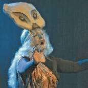 Die Nacht der Musicals
