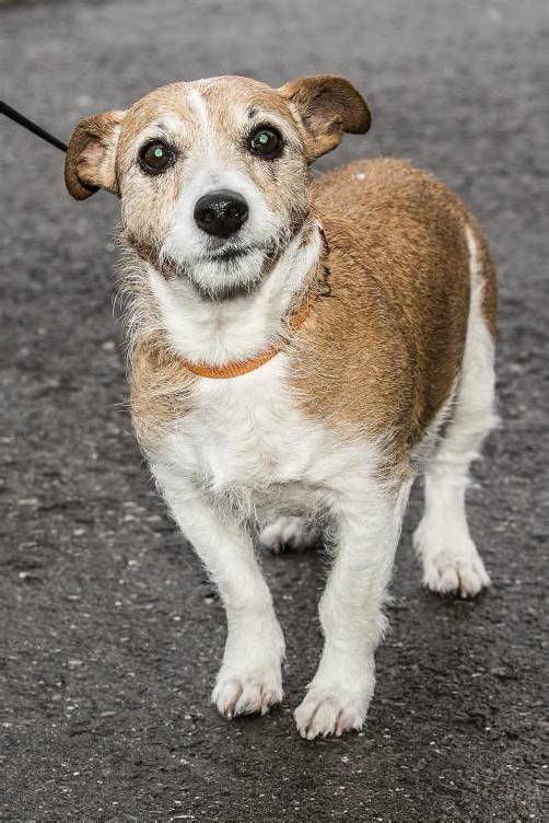 Freut sich auf Sie: Lara (10 Jahre).