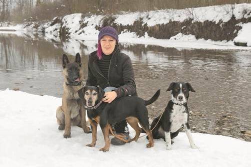 Tiere riechen, hören und fühlen Dinge, die dem Menschen verborgen bleiben. Foto: vn/paulitsch