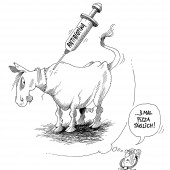 Die Lebensmittel-Therapie!