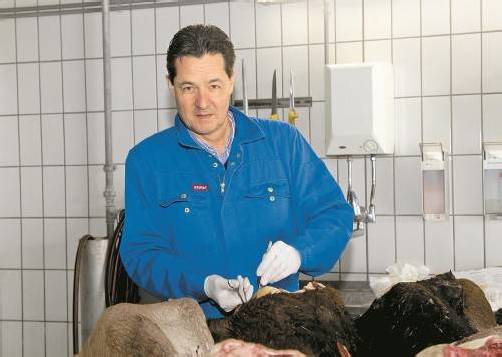 Amtstierarzt Kessler entnimmt BSE-Proben: „Im Sommer ist der Geruch hier ein Gesamterlebnis.“ Foto: VN/Paulitsch