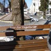 Parkbänke „nur für Teetrinker“ in Hohenems