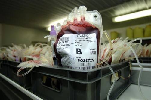Dass weitere Personen betroffen sein könnten, schließt das Rote Kreuz aus, da es sich um eine einzige Konserve handelte. Foto: APa