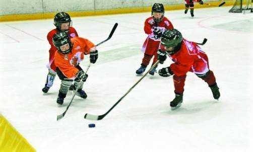 Die kleinen Cracks waren mit Begeisterung bei der Sache: Das „Learn to play“-Programm fand großen Anklang. Foto: vehv