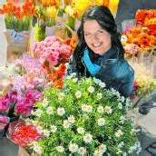 Bunte Frühlingsblumen zum halben Preis