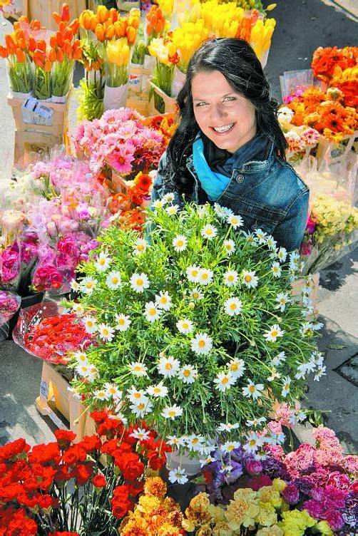 Einen Margeritenbusch oder sieben Frühlingsblumen um fünf Euro kaufen.
Foto: VN/hartinger