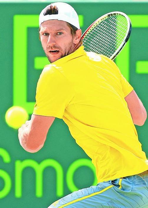 Jürgen Melzer: Im Viertelfinale wartet David Ferrer. Foto: gepa