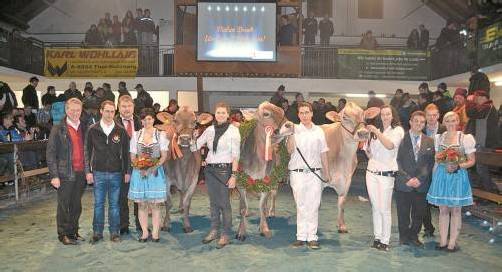Kürzlich veranstaltete der Vorarlberger Braunvieh-Jungzüchterclub seinen bereits 7. Night Grand Prix im Schorenhof in Dornbirn.