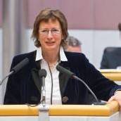 Mehr Rechte für die Opposition