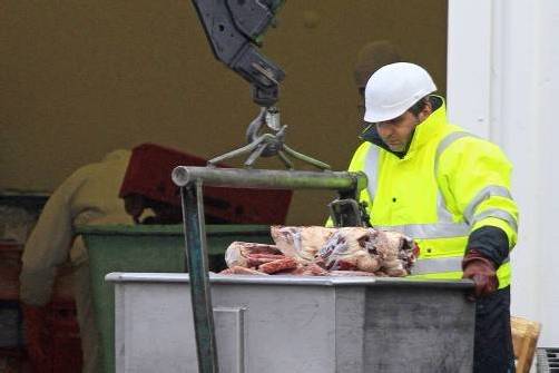 Nach Pferdefleisch nun Skandal um Lammfleisch in Frankreich.