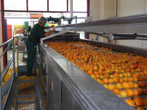 Qualität durch Verarbeitung vor Ort: Der neue Pfanner-Produktions-standort im süditalienischen Policoro. Foto: Pfanner