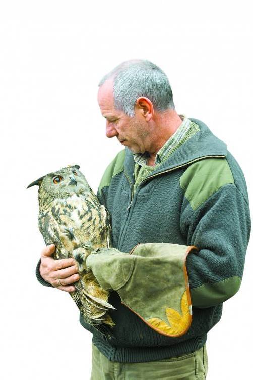 Reinhard Hellmair und seine „Gretl“. Bis vor drei Jahren durfte der Uhu noch Rabenkrähen jagen. Foto: vn/paulitsch