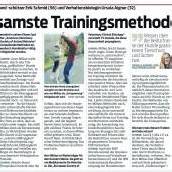 Hundetraining nach „Hunde­flüsterer“ Cesar Millan