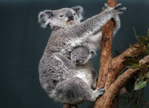 Foto: Reuters