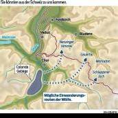 „Rechne damit, dass Wölfe in Vorarlberg eindringen“
