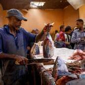 Fangfrisch auf den Markt in Somalia