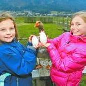 Nora und Naomi sind stolz auf „ihr“ Gänseei