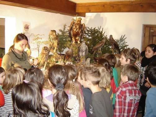 Über 300 Schüler besuchten die Hegeschau in Kennelbach.