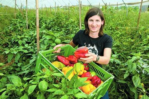 Die biologische Vielfalt wird durch die geplante EU-Saatgut-Regelung gefährdet. Foto: vn/steurer