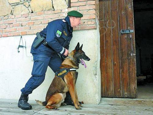 Diensthundeführer Arno Winder und Spürnase „Diego“ ertappten einen Einbrecher in Hohenems. Foto: Polizei