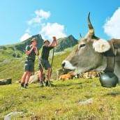 „High Noon“ auf den Alpen: Bauern kämpfen um Geld