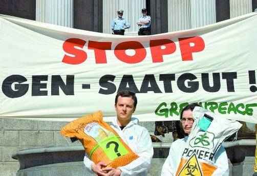 Greenpeace macht lange schon darauf aufmerksam: Genverändertes Saatgut darf nicht einfach so hingenommen werden. foto: reuters