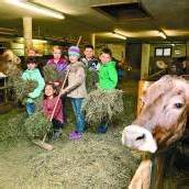 Wo die Milch herkommt