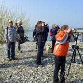 Wettbewerb für Vogelfans in den Startlöchern